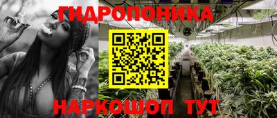 ALPHA PVP Северобайкальск