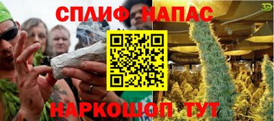 бошки Сланцы
