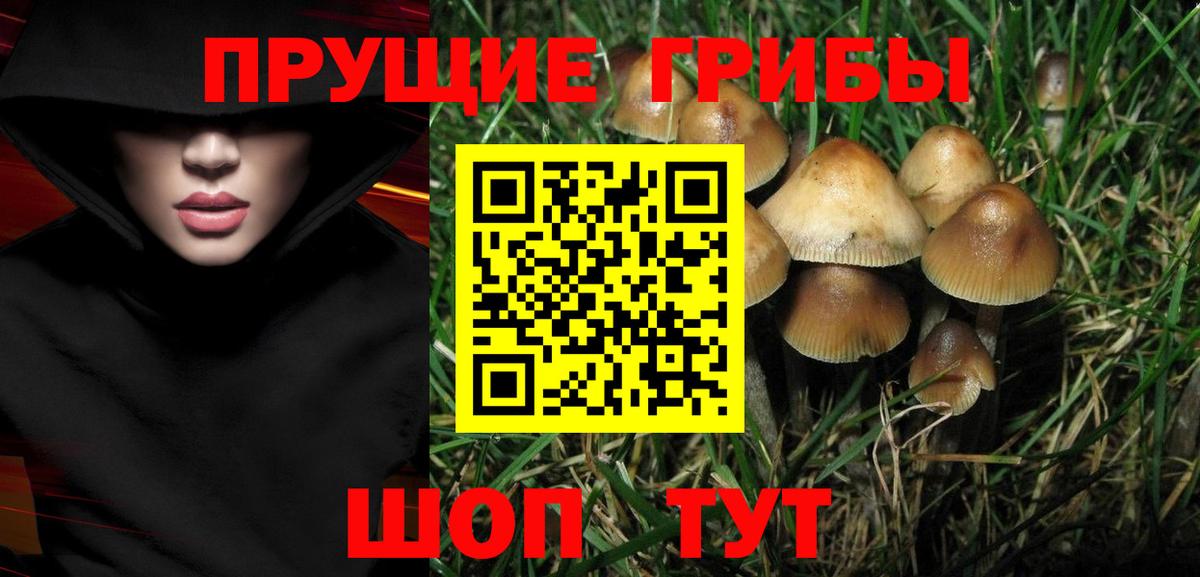 Петропавловск-Камчатский  Галлюциногенные грибы GOLDEN TEACHER  купить  сайты  Вход с VPN 