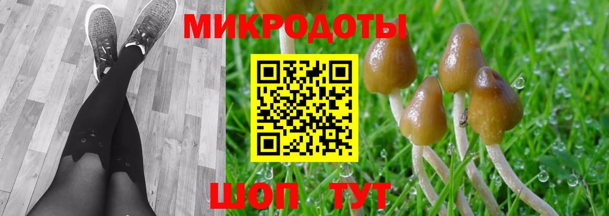 Галлюциногенные грибы мухоморы Петропавловск-Камчатский
